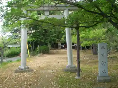 森市神社（村屋坐彌冨都比賣神社摂社）の鳥居