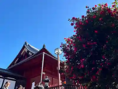 清水観音堂(東京都)