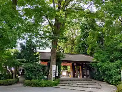 阿佐ヶ谷神明宮(東京都)