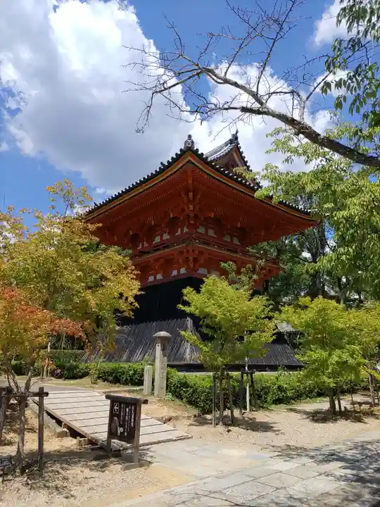 仁和寺(京都府)