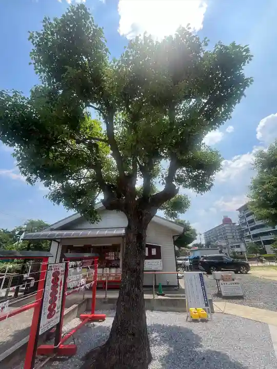 朝日氷川神社(埼玉県)