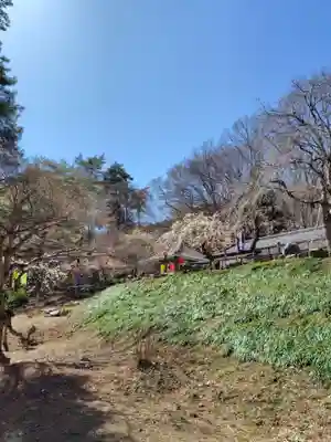 不動寺(埼玉県)