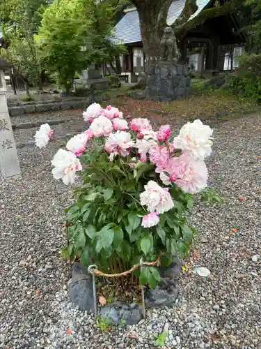 滋賀県護国神社の{uncategorized: "未分類", other: "その他", undefined: "問題あり", building: "その他建物", grave: "お墓", sacred_gate: "鳥居", guardian: "狛犬", statue: "像", buddha: "仏像", history: "歴史", nature: "自然", garden: "庭園", animal: "動物", pagoda: "塔", temizu: "手水舎", mountain_gate: "山門・神門", sanctuary: "本殿・本堂", subordinate: "末社・摂社", art: "芸術", scenery: "景色", jizo: "地蔵", ema: "絵馬", goshuin: "御朱印", omikuji: "おみくじ", items: "授与品その他", amulet: "お守り", goshuincho: "御朱印帳", eats: "食事", festival: "お祭り", votive_dance: "神楽", shichigosan: "七五三参", wedding: "結婚式", experience: "体験その他", initially: "初詣", around: "周辺", anti_infection: "感染症対策"}