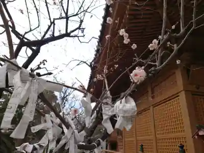 蒲原神社の自然