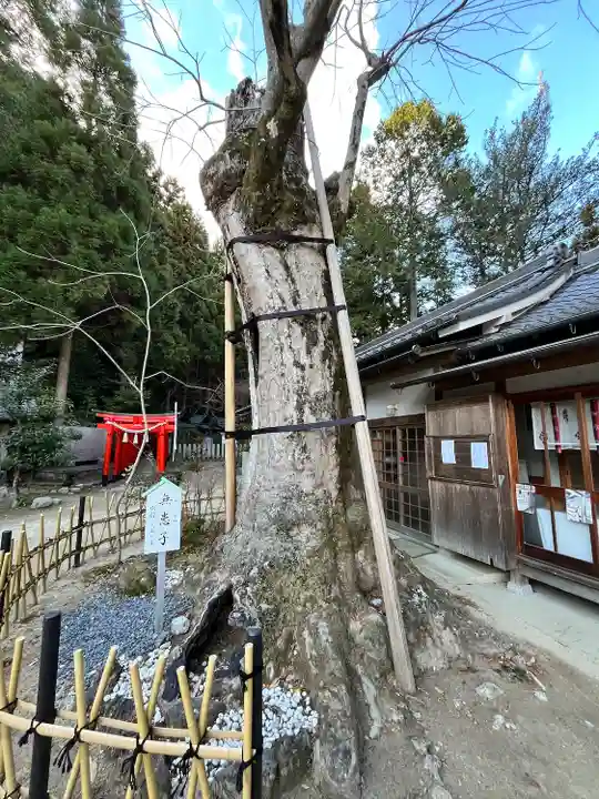 葛城一言主神社(奈良県)