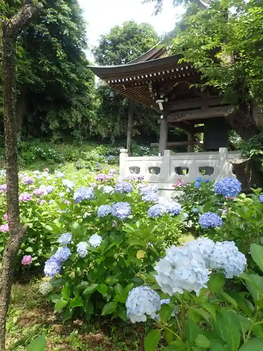 妙楽寺(神奈川県)