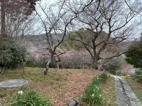 大門寺(大阪府)