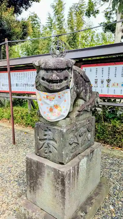 菊田神社の狛犬