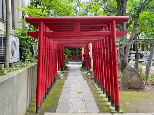 富岡八幡宮の鳥居