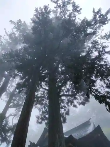 三峯神社の{uncategorized: "未分類", other: "その他", undefined: "問題あり", building: "その他建物", grave: "お墓", sacred_gate: "鳥居", guardian: "狛犬", statue: "像", buddha: "仏像", history: "歴史", nature: "自然", garden: "庭園", animal: "動物", pagoda: "塔", temizu: "手水舎", mountain_gate: "山門・神門", sanctuary: "本殿・本堂", subordinate: "末社・摂社", art: "芸術", scenery: "景色", jizo: "地蔵", ema: "絵馬", goshuin: "御朱印", omikuji: "おみくじ", items: "授与品その他", amulet: "お守り", goshuincho: "御朱印帳", eats: "食事", festival: "お祭り", votive_dance: "神楽", shichigosan: "七五三参", wedding: "結婚式", experience: "体験その他", initially: "初詣", around: "周辺", anti_infection: "感染症対策"}