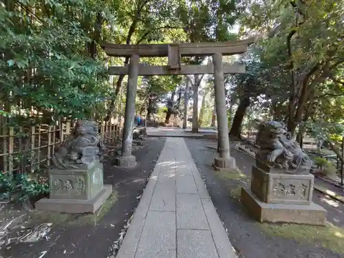 渋谷氷川神社の鳥居
