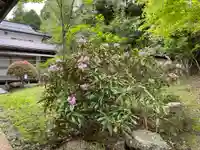 補陀洛院(和歌山県)