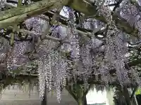 福島稲荷神社(福島県)