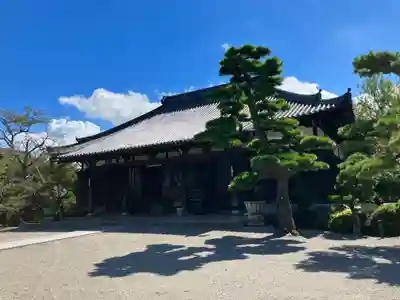 来迎寺の本殿・本堂