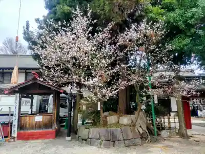 大國魂神社(東京都)