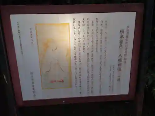 富岡八幡宮の歴史