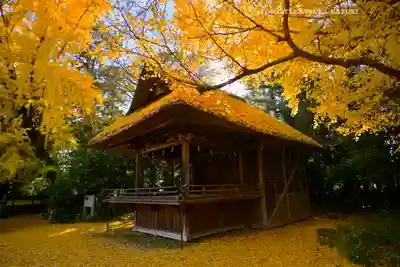 玉敷神社(埼玉県)