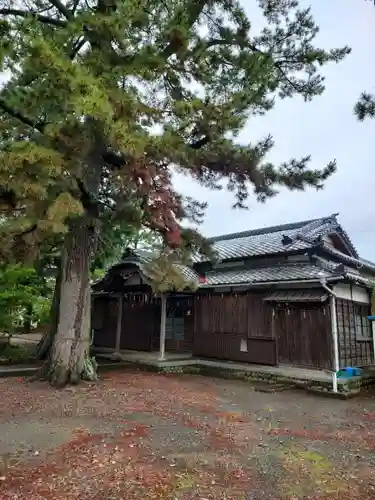 大井神社(静岡県)