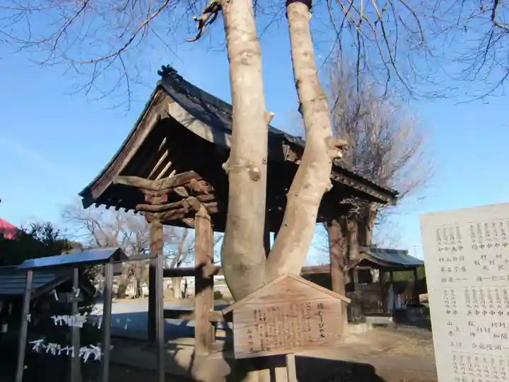 血方神社の自然