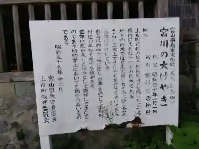 日吉神社の{uncategorized: "未分類", other: "その他", undefined: "問題あり", building: "その他建物", grave: "お墓", sacred_gate: "鳥居", guardian: "狛犬", statue: "像", buddha: "仏像", history: "歴史", nature: "自然", garden: "庭園", animal: "動物", pagoda: "塔", temizu: "手水舎", mountain_gate: "山門・神門", sanctuary: "本殿・本堂", subordinate: "末社・摂社", art: "芸術", scenery: "景色", jizo: "地蔵", ema: "絵馬", goshuin: "御朱印", omikuji: "おみくじ", items: "授与品その他", amulet: "お守り", goshuincho: "御朱印帳", eats: "食事", festival: "お祭り", votive_dance: "神楽", shichigosan: "七五三参", wedding: "結婚式", experience: "体験その他", initially: "初詣", around: "周辺", anti_infection: "感染症対策"}