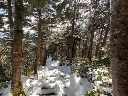 東花童子の建物その他