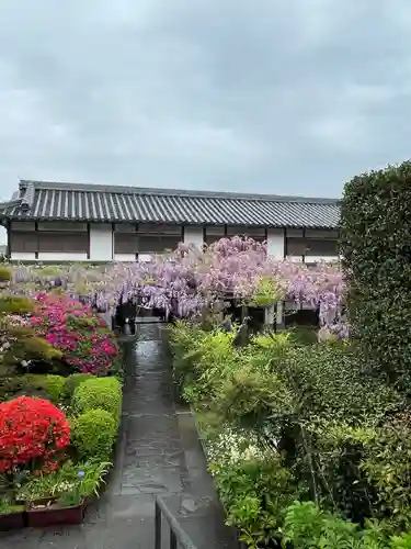 子安地蔵寺(和歌山県)