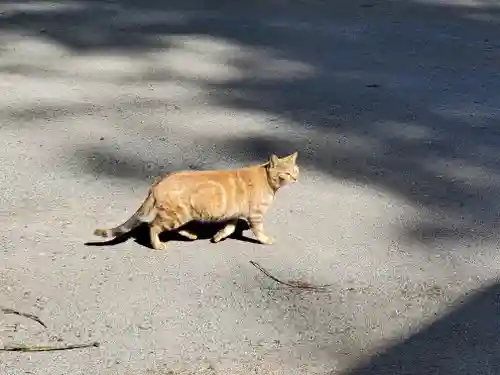 宇都宮神社（下彦間町）(栃木県)