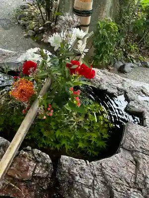阿智神社の{uncategorized: "未分類", other: "その他", undefined: "問題あり", building: "その他建物", grave: "お墓", sacred_gate: "鳥居", guardian: "狛犬", statue: "像", buddha: "仏像", history: "歴史", nature: "自然", garden: "庭園", animal: "動物", pagoda: "塔", temizu: "手水舎", mountain_gate: "山門・神門", sanctuary: "本殿・本堂", subordinate: "末社・摂社", art: "芸術", scenery: "景色", jizo: "地蔵", ema: "絵馬", goshuin: "御朱印", omikuji: "おみくじ", items: "授与品その他", amulet: "お守り", goshuincho: "御朱印帳", eats: "食事", festival: "お祭り", votive_dance: "神楽", shichigosan: "七五三参", wedding: "結婚式", experience: "体験その他", initially: "初詣", around: "周辺", anti_infection: "感染症対策"}