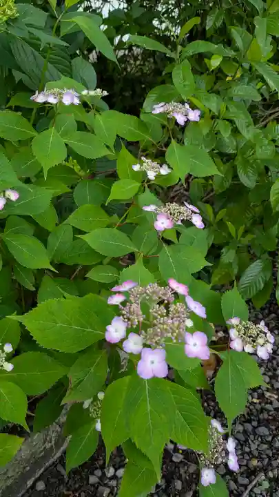 本法寺(京都府)