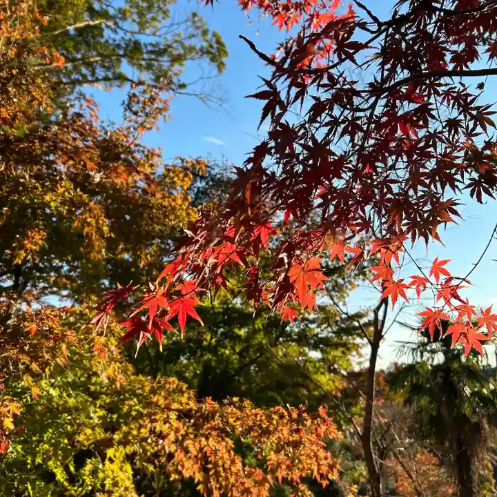 八幡宮(茨城県)