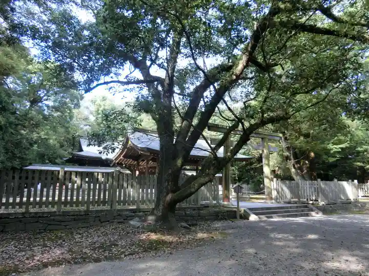 日前神宮・國懸神宮のその他建物