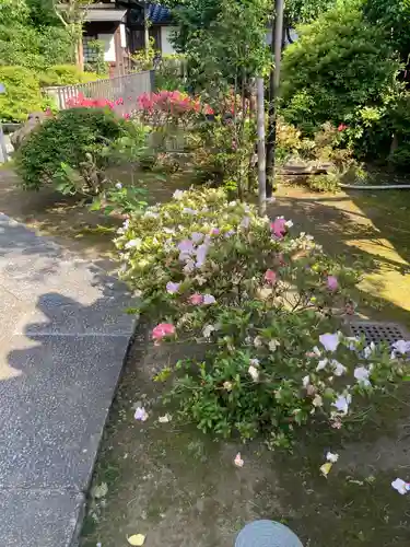 雲頂庵(神奈川県)