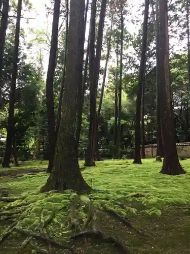 唐招提寺の庭園