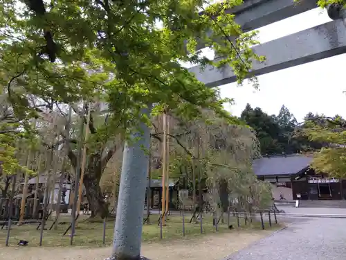 足羽神社(福井県)