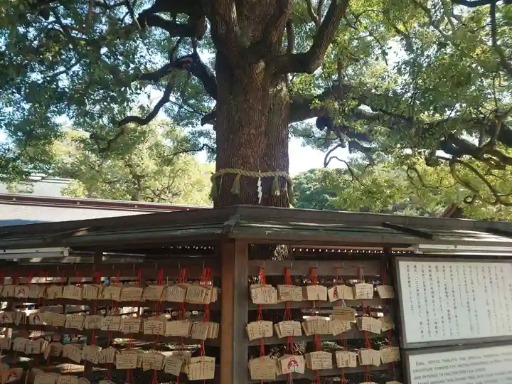 明治神宮(東京都)