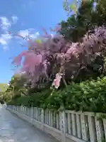 和泉國一之宮 大鳥大社のその他建物