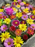 伊達神社の手水舎