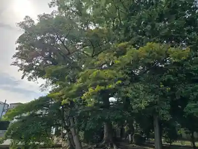 丹比神社(大阪府)