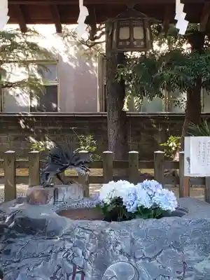 橘樹神社の手水舎