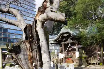 阿邪訶根神社のその他建物