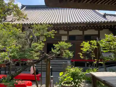 佛日庵(神奈川県)