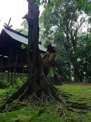 六嶽神社(下社)(福岡県)