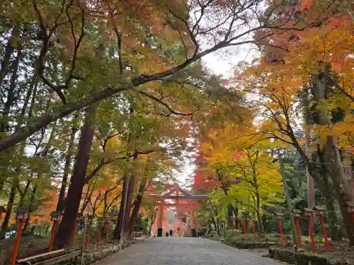 日吉大社(滋賀県)