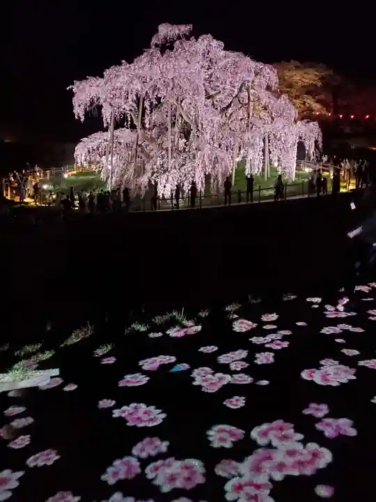 瀧桜神明宮の自然