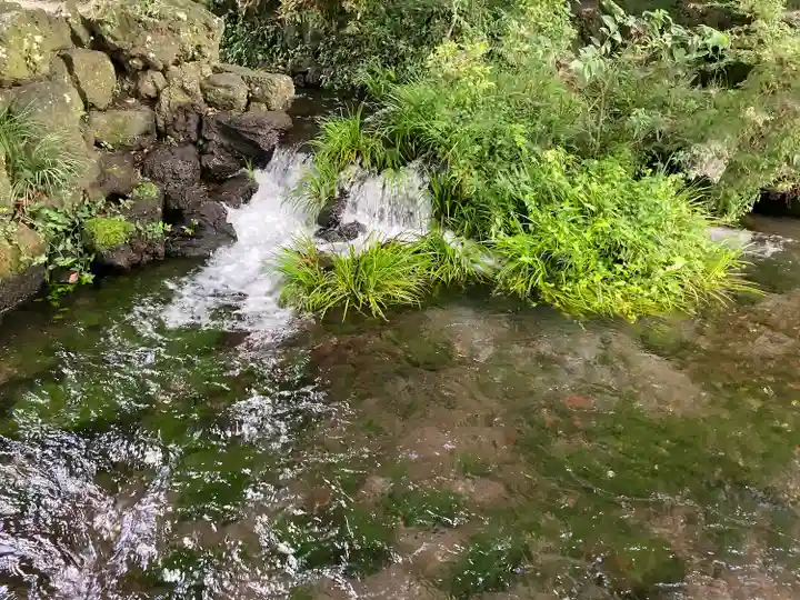 富士山本宮浅間大社(静岡県)