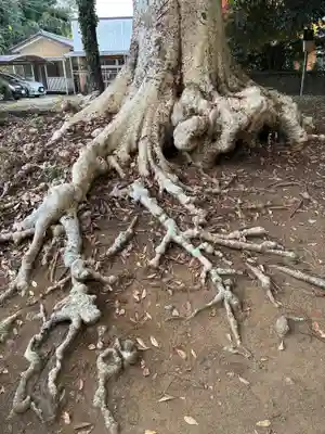 春日神社(茨城県)