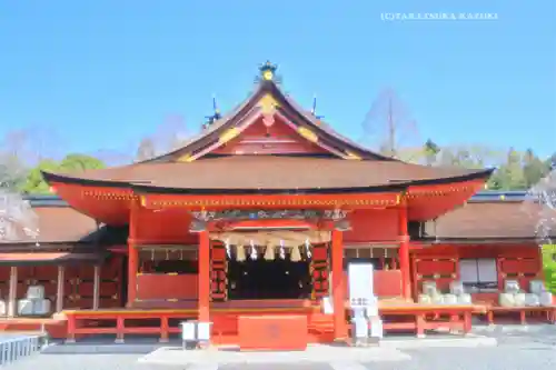 富士山本宮浅間大社(静岡県)