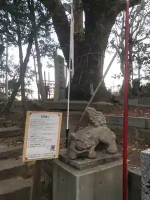 旭山神社のその他建物