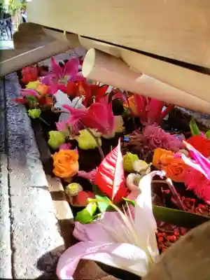 鳩森八幡神社の手水舎