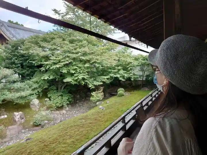 相国寺(相国承天禅寺)の庭園